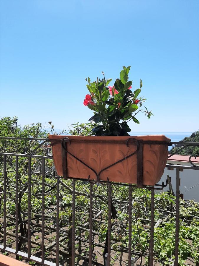 Casa Almary Apartment Amalfi Exterior photo